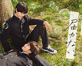 泛页面关键词3305